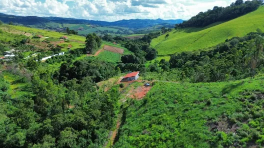 Lote/Terreno à venda, 6050m² no , Toledo