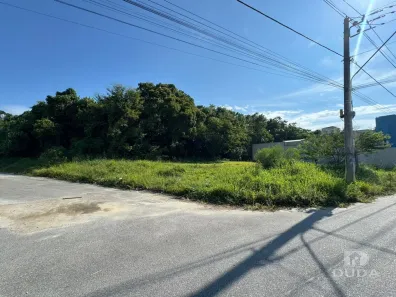 Lote/Terreno à venda, 349m² no Bela Vista, Palhoça