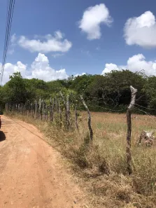Lote/Terreno à venda, 1321m² no Pipa, Tibau do Sul