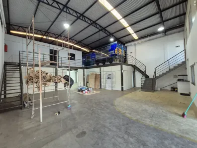Galpão/Depósito/Armazém com 7 Quartos para alugar, 228m² no Residencial e Comercial Palmares, Ribeirão Preto