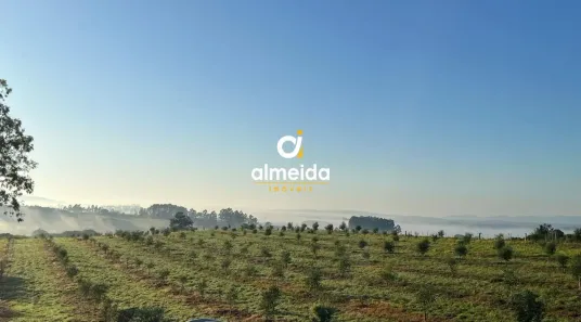 Fazenda/Sítio com 3 Quartos à venda, 200m² no , Butiá