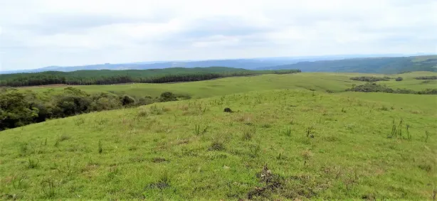Fazenda/Sítio à venda, 20000m² no , Rancho Queimado