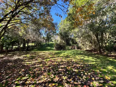 Fazenda/Sítio à venda, 6000m² no Vargem do Braco, Santo Amaro da Imperatriz