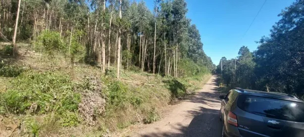 Lote/Terreno à venda, 31000m² no Linha Imperial, Nova Petrópolis
