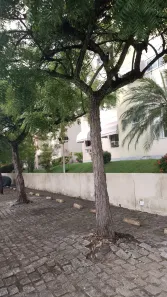 Apartamento com 2 Quartos para alugar, 65m² no Boca do Rio, Salvador