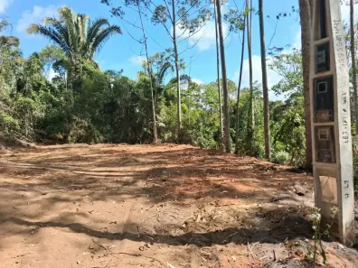 Lote/Terreno à venda, 20000m² no , Santa Teresa