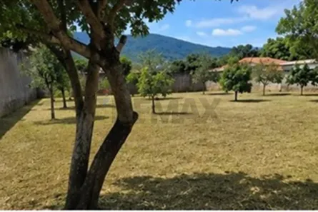 Lote/Terreno à venda, 1000m² no Progresso, Goianá