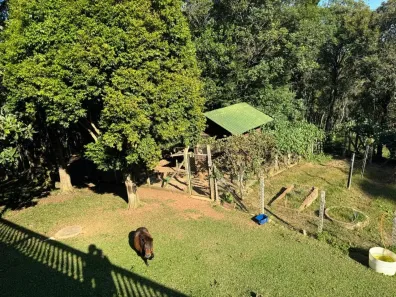 Fazenda/Sítio com 4 Quartos à venda, 28266m² no Centro, Colombo