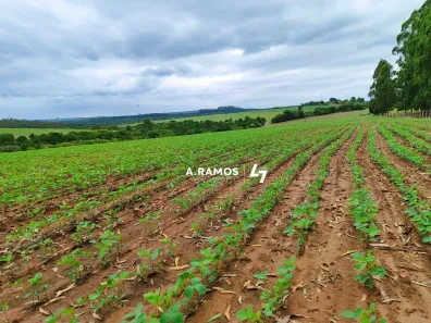 Fazenda/Sítio com 3 Quartos à venda, 100m² no Área Rural de Porto Feliz, Porto Feliz