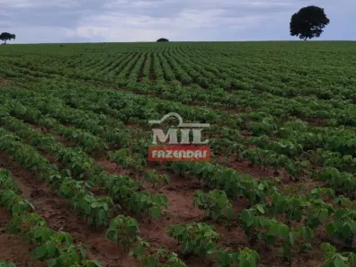 Fazenda/Sítio à venda, 330000m² no , Silvânia