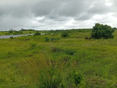 Fazenda/Sítio à venda, 140000m² no , Caldas Brandão