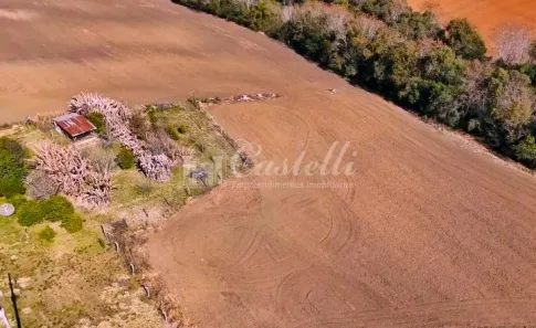 Fazenda/Sítio com 3 Quartos à venda, 217885m² no Cará-cará, Ponta Grossa