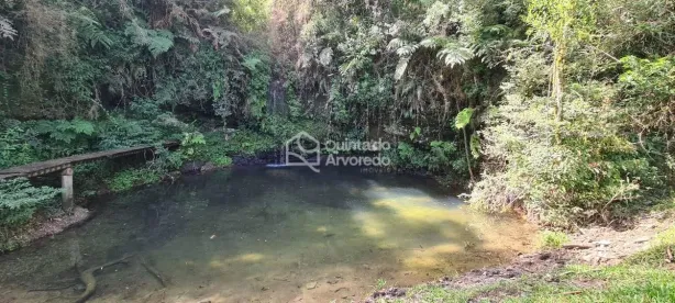 Fazenda/Sítio com 3 Quartos à venda, 270m² no Camboa, Governador Celso Ramos
