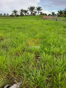 Fazenda/Sítio com 1 Quarto à venda, 60000m² no , Piçarra