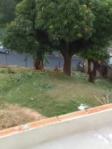Lote/Terreno à venda, 800m² no Padre Eustáquio, Belo Horizonte