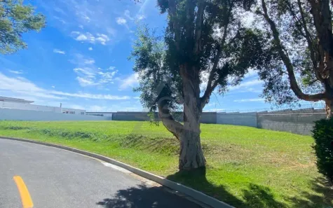 Lote/Terreno à venda, 1480m² no Sítios de Recreio Gramado, Campinas