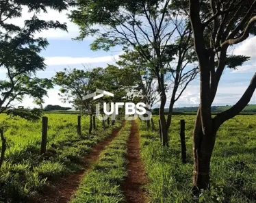 com 3 Quartos à venda, 290400m² no , Piracanjuba