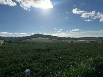 Lote/Terreno à venda, 500m² no Jardim Japão (Caucaia do Alto), Cotia