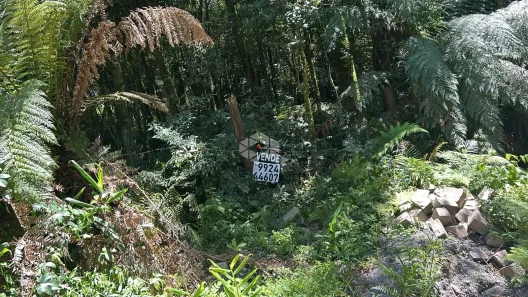 Lote/Terreno à venda, 1317m² no Luiza Corrêa, Canela