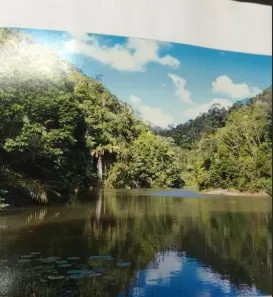 Casa com 1 Quarto à venda, 3600000m² no , Cachoeira