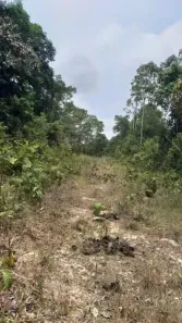 Lote/Terreno à venda, 122m² no Área Rural de Manaus, Manaus