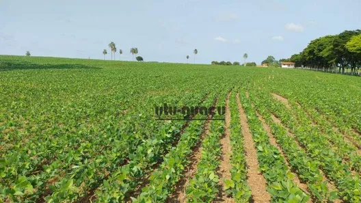 Fazenda/Sítio à venda, 968000m² no Jardim Paineiras, Avaré