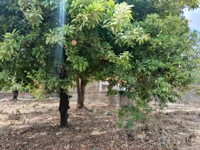 Fazenda/Sítio à venda, 2650m² no Riacho Doce, Maceió