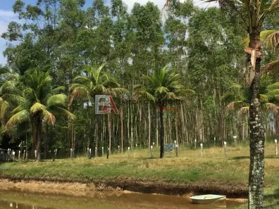 Fazenda/Sítio com 3 Quartos à venda, 37000m² no Morro Grande, Araruama