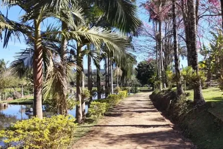 Fazenda/Sítio com 2 Quartos à venda, 180m² no , Monte Sião