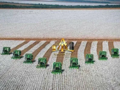 Fazenda/Sítio com 1 Quarto à venda, 100m² no Paraíso, Nova Mutum