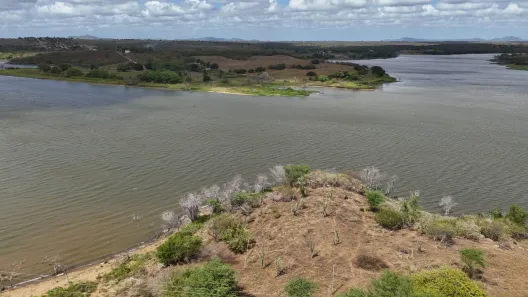 Fazenda/Sítio com 4 Quartos à venda, 980000m² no , São Paulo do Potengi