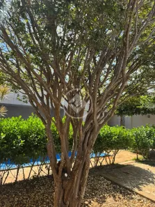 Casa com 4 Quartos à venda, 195m² no Conjunto Bela Vista, Lagoa Santa