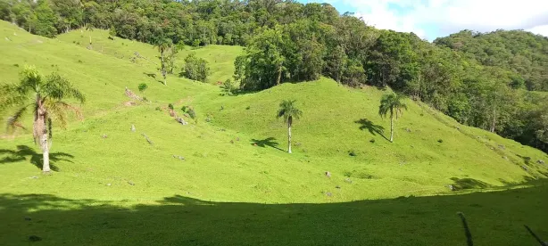 Lote/Terreno à venda, 30000m² no , Águas Mornas