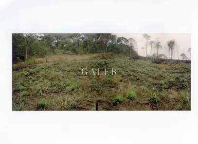 Lote/Terreno à venda, 6000m² no Recanto dos Palmares, Atibaia
