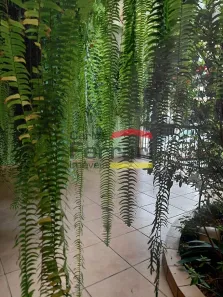 Sobrado com 3 Quartos à venda, 120m² no Casa Verde Alta, São Paulo