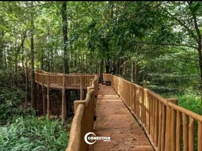 Lote/Terreno à venda, 342m² no Jardim Floresta, Trindade