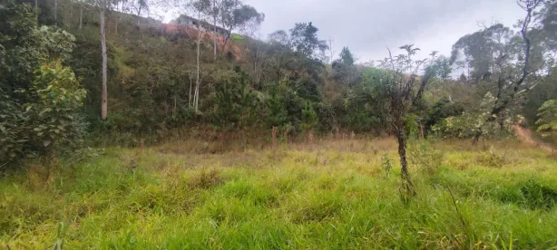 Lote/Terreno à venda, 2500m² no Saboó, São Roque