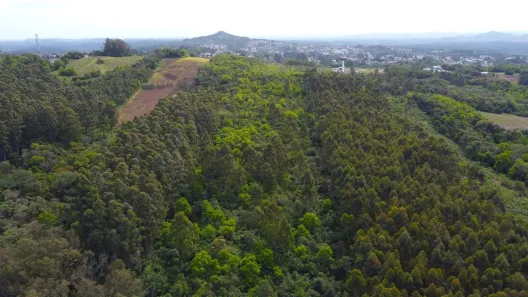 Galpão/Depósito/Armazém à venda, 99874m² no Colina Verde, Ivoti