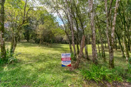 Lote/Terreno à venda, 6806m² no Rondinha, Campo Largo