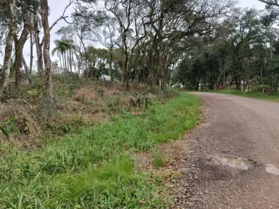 Lote/Terreno à venda, 450m² no Nova Petrópolis, Nova Petrópolis