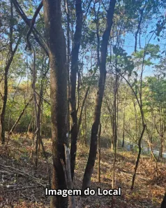 Lote/Terreno à venda, 2800m² no Gentileza, Betim