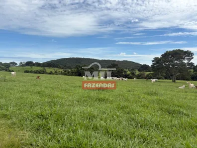 Fazenda/Sítio à venda, 1m² no , Hidrolina