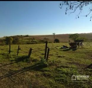 Lote/Terreno à venda, 20000m² no Zona 04, Maringá