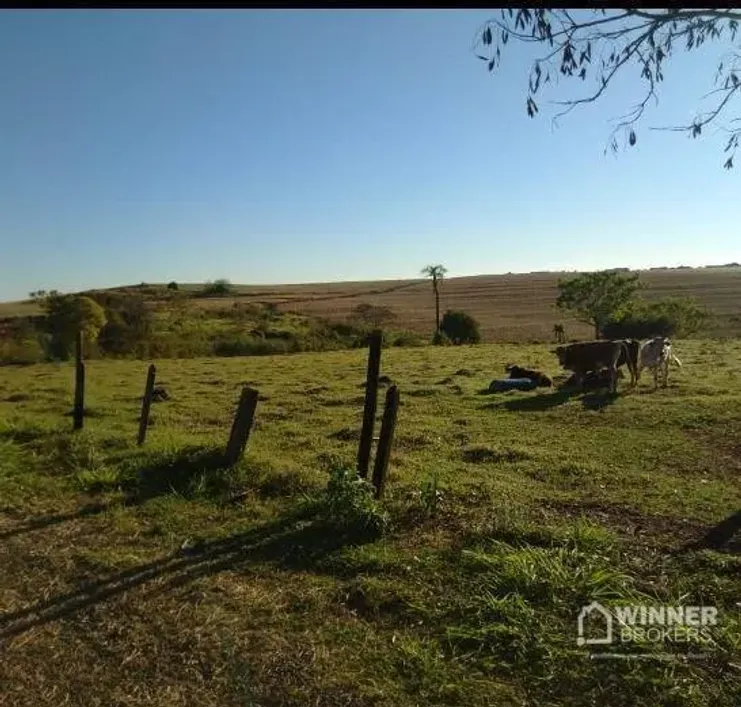 Lotes/Terrenos para venda em Zona 36 - Maringá, PR - Viva Real
