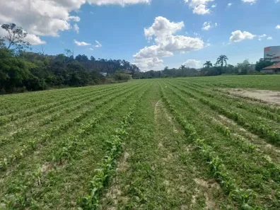 Lote/Terreno à venda, 20000m² no Alto Aririú, Palhoça