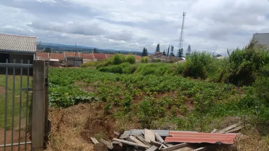 Lote/Terreno à venda, 360m² no Piriquitos, Ponta Grossa