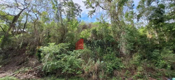 Lote/Terreno à venda, 2640m² no Itaipu, Niterói