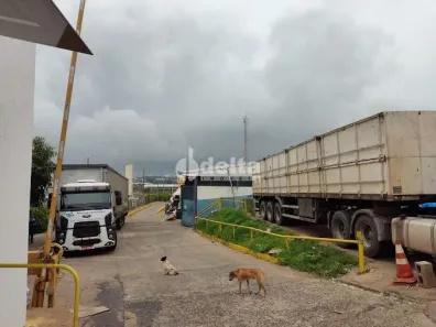 Ponto Comercial para alugar, 2600m² no Distrito Industrial, Uberlândia