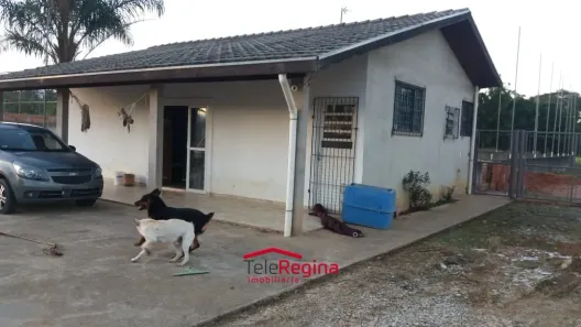 Fazenda/Sítio com 1 Quarto à venda, 19000m² no Vila Pantaleão, Caçapava