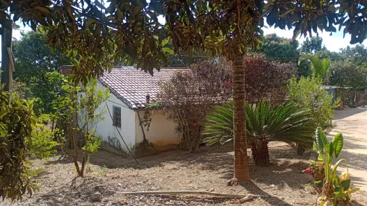Fazenda/Sítio com 3 Quartos à venda, 22000m² no , Igarapé